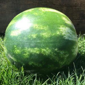 Watermelon (seedless)