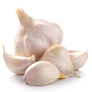 Garlic Bulb